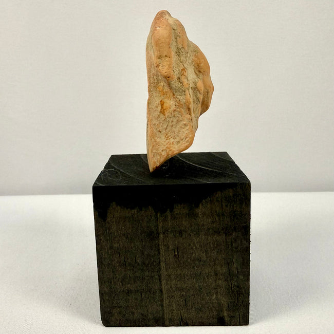 Small terracotta fragment standing vertically on black base emphasizing irregular shape