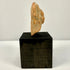 Small terracotta fragment standing vertically on black base emphasizing irregular shape
