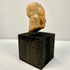 Terracotta male bust fragment elevated on pedestal highlighting height and clay material