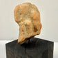 Ancient Gandharan terracotta male bust fragment with almond eyes on black stand