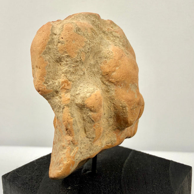 Three-quarter view of terracotta bust back showing rough texture and neck details
