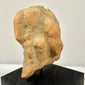 Three-quarter view of terracotta bust back showing rough texture and neck details
