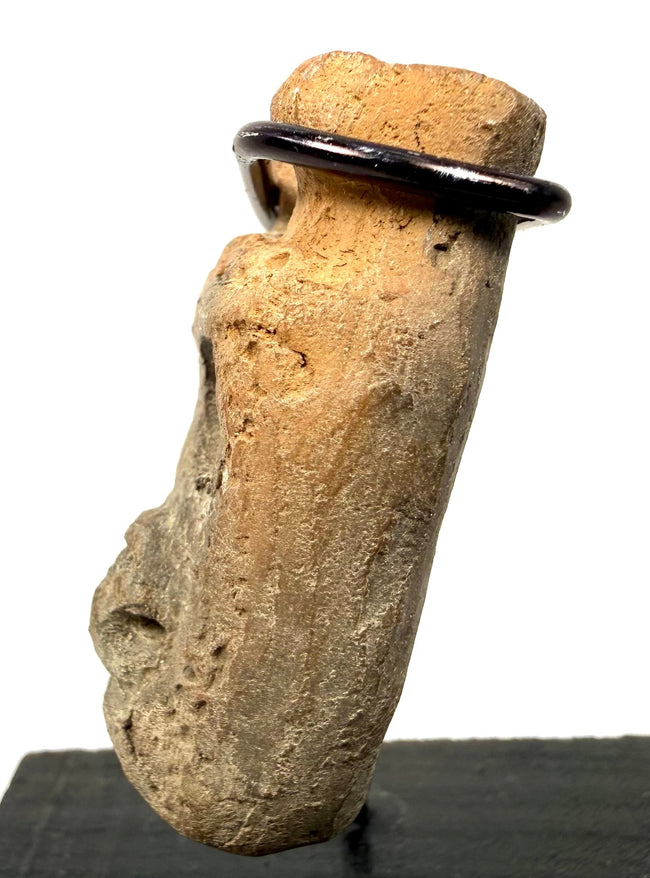 Side profile of weathered beige bone artifact highlighting thickness and surface texture