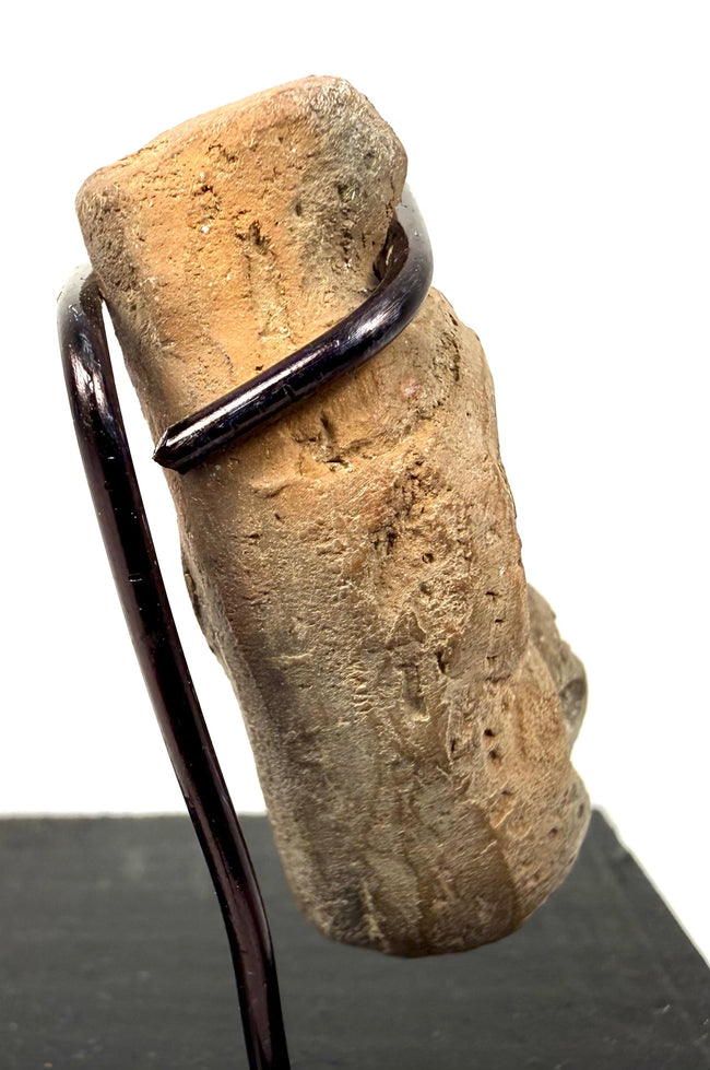 Rear view of tan carved bone pendant emphasizing top protrusions and metal ring support