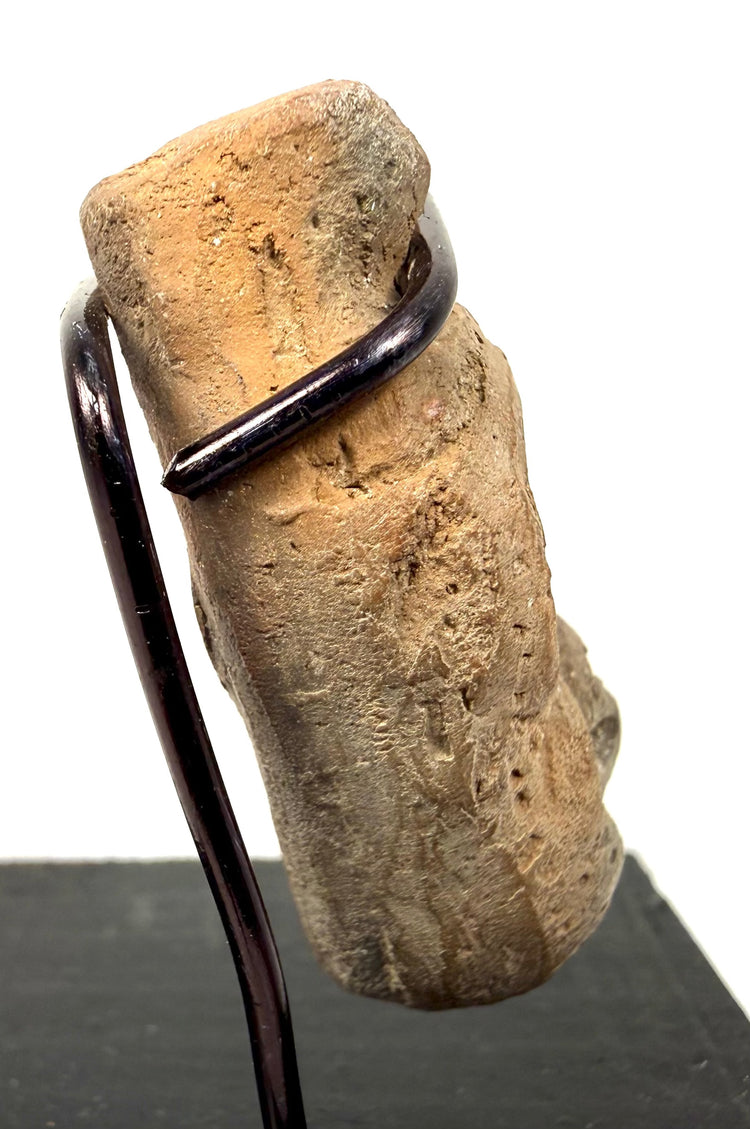 Rear view of tan carved bone pendant emphasizing top protrusions and metal ring support