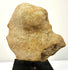 Rear view of beige terracotta fragment showing rough textured broken surface and reddish discoloration