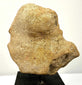 Rear view of beige terracotta fragment showing rough textured broken surface and reddish discoloration