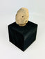 Ancient West Mexican terracotta head fragment from Nayarit or Jalisco, Pre-Columbian artifact, circa 300 BCE–300 CE, mounted for display