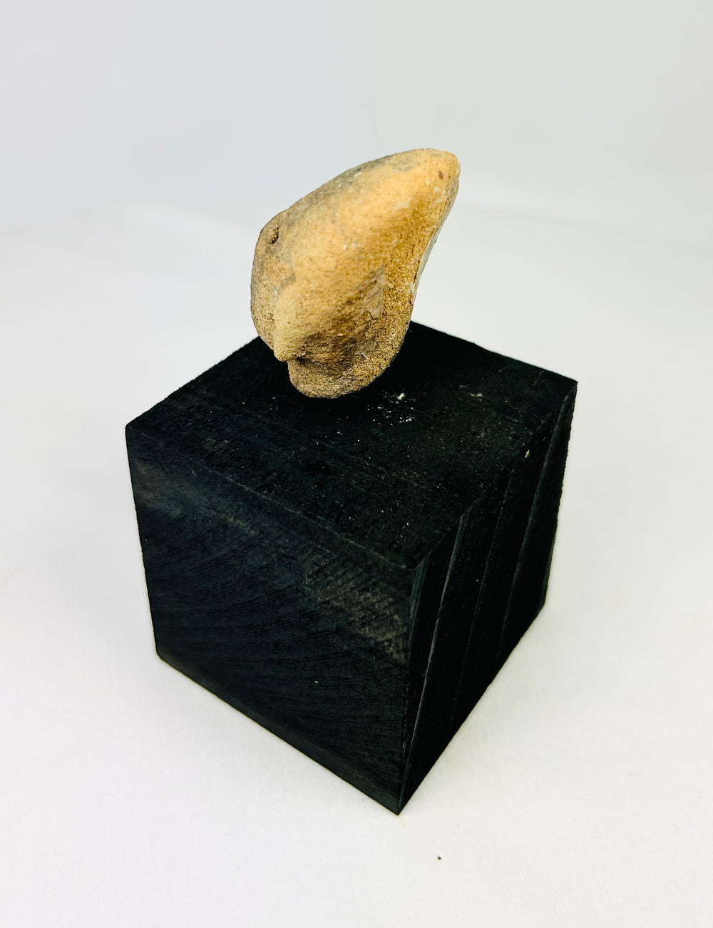 West Mexican Pre-Columbian terracotta figurine head, ancient artifact from 300 BCE–300 CE, with rounded facial features and drilled eyes