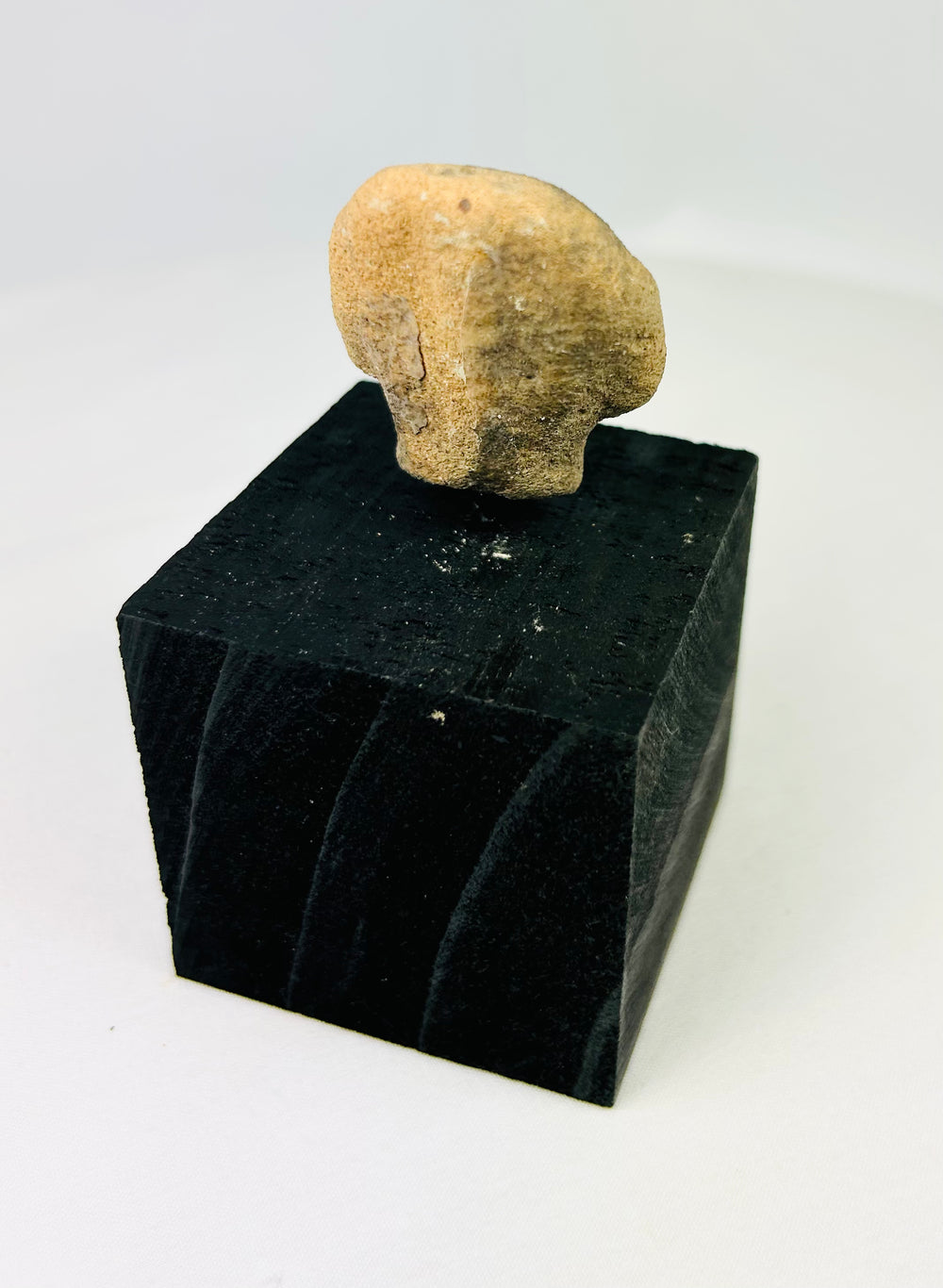 Pre-Columbian terracotta head fragment from West Mexico, Nayarit or Jalisco, archaeological artifact with drilled eyes and subtle mouth, mounted for display