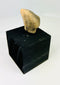 Ancient Pre-Columbian terracotta head, West Mexico, small collectible fragment from Nayarit or Jalisco, circa 300 BCE–300 CE, on black display stand