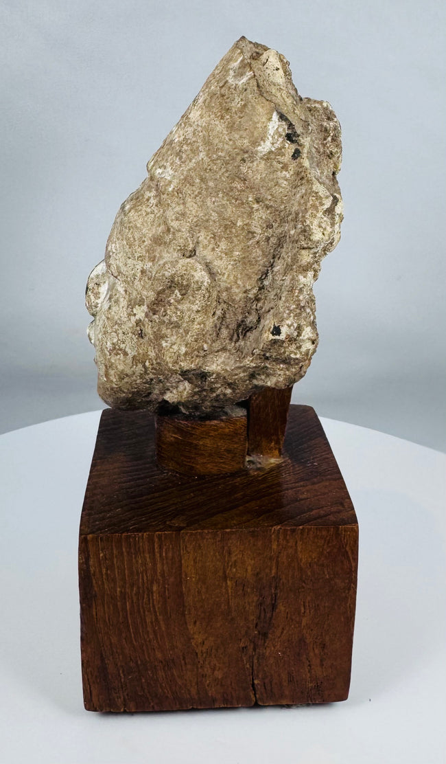 Museum-quality Gandharan Buddhist head fragment mounted on a wooden presentation stand