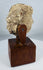 Ancient devotional head fragment likely representing a Buddha or bodhisattva