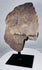 African stone head sculpture with recessed eyes, broad nose, and conical coiffure