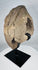 Hand-carved stone head fragment with weathered surface and custom display mount