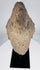 West African-style stone sculpture fragment with prominent brow and compressed lips