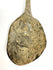 Close-up of an ancient Roman bronze spoon highlighting its spiral-twisted handle and naturally aged patina.