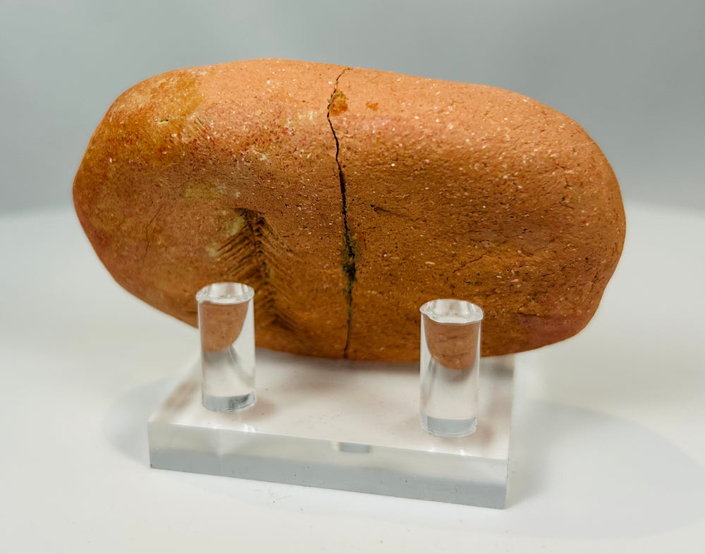 Cuneiform tablet from Mesopotamia with administrative text layout