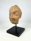 Gupta-period terracotta head fragment on a black museum stand, frontal view, 3rd–5th century CE.