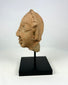 Ancient Gupta terracotta head fragment shown in left-profile on a black stand, India, 3rd–5th century CE