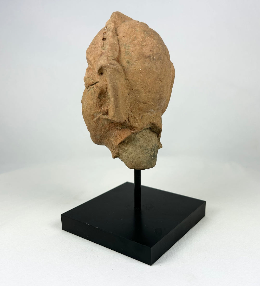 Angled left-side view of a Gupta-period terracotta head fragment displayed on a black stand.