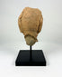 Back view of ancient Gupta-period terracotta head fragment mounted on a black museum stand.