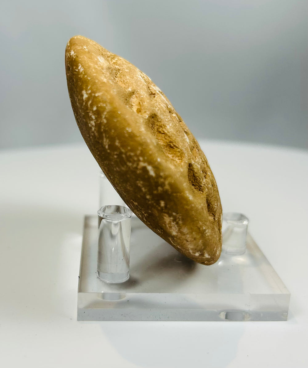 Early administrative stone seal with abstract geometric pattern