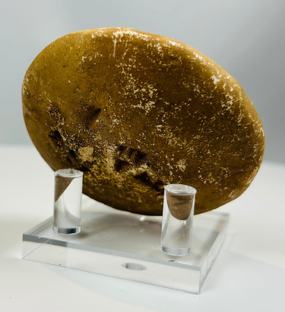 Ancient circular seal with incised geometric and symbolic motifs