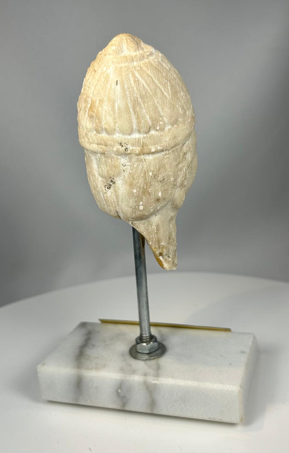 Assyrian alabaster head fragment with ribbed headdress detail