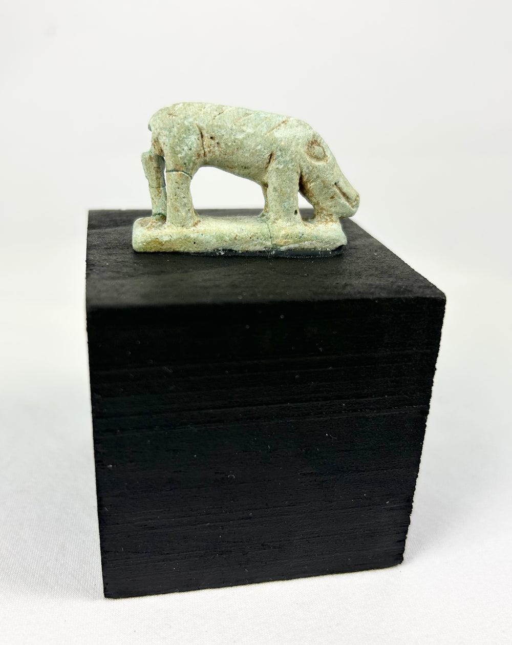 Small Egyptian faience shrew amulet from the Late Period, green glaze traces and archaeological patina.