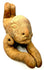 Ancient Pre-Columbian anthropomorphic figure featuring an oversized rounded head, stylized facial characteristics, and pierced ear ornaments.