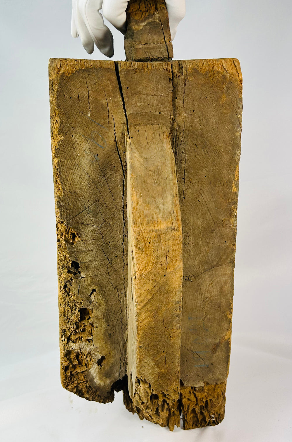 European Baroque hardwood lion mascaron, swirling mane, original blue-grey paint and gilding traces