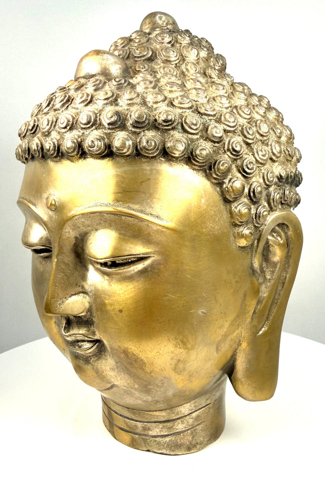 Buddhist Buddha Shakyamuni head sculpture displaying a prominent urna, symmetrical facial proportions, and elongated earlobes symbolizing spiritual enlightenment.