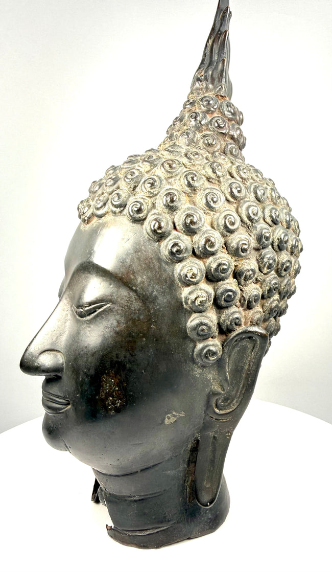 Sukhothai-style Buddha head with tightly arranged spiral hair curls covering the rounded cranial protuberance.