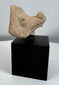 Authentic Pre-Columbian zoomorphic terracotta artifact mounted for display and preservation.