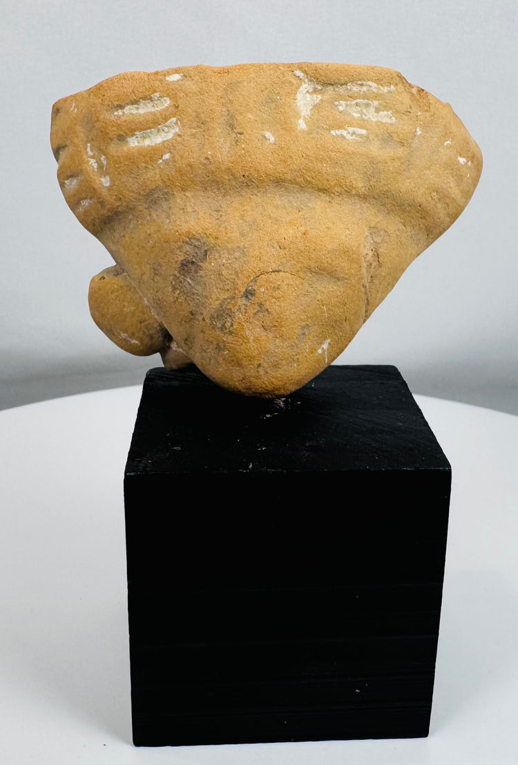 Terracotta human effigy head fragment mounted for display, retaining traces of original white pigment.