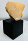 Ancient ceremonial terracotta figure fragment with earspools and collection number Hua-347 on reverse.