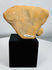 Archaeological terracotta human figure fragment with weathered surface and burial patina.