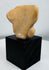 Pre-Columbian ceramic sculpture fragment showing stylized human features and aged mineral deposits.