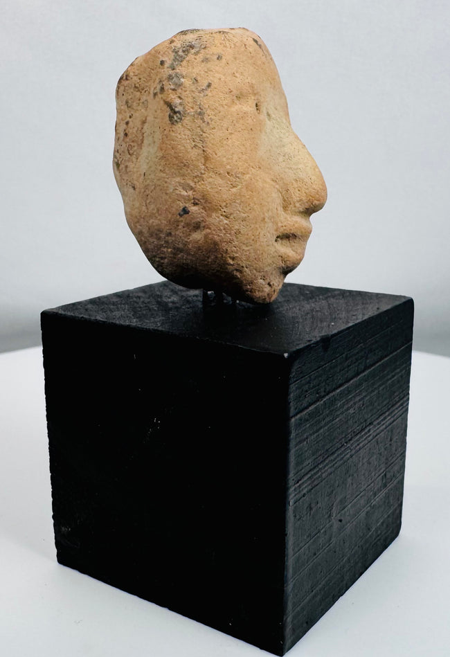 Ancient American terracotta head fragment preserving a serene expression and rounded facial form.