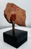 Terracotta sculptural fragment with almond-shaped eye, geometric forms, and traces of original paint