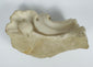 Detail view of a carved marble architectural fragment from a historic church interior in Sicily.