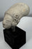 Pre-Columbian funerary terracotta head fragment with closed eyes and weathered archaeological surface.