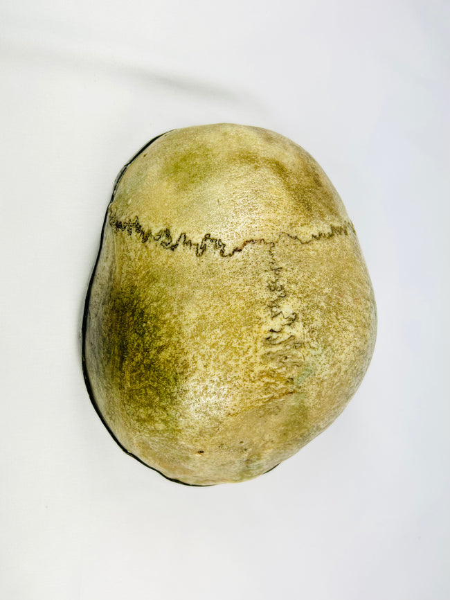 Top view of Tibetan Kapala ritual skull cup showing cranial sutures and natural bone patina, 19th century Buddhist ceremonial vessel.