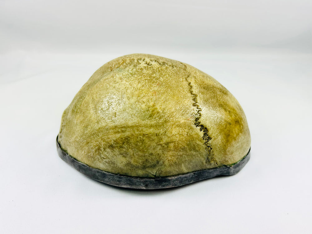 Side view of Tibetan Kapala ritual skull cup showing cranial sutures and natural bone patina, 19th century Buddhist ceremonial vessel.
