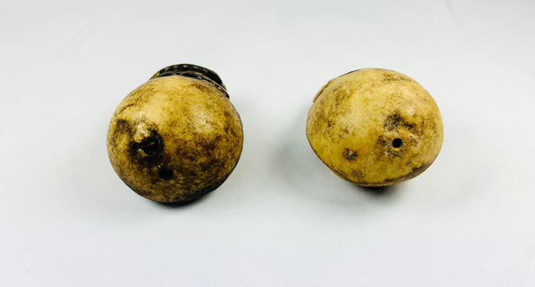 A Pair of Rare Large Tibetan Kapala Citipati Beads | 18th-19th Century