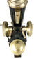 Close-up of a vintage Spencer microscope featuring its nickel-plated focusing wheels, black optical tube, and precision adjustment mechanisms.