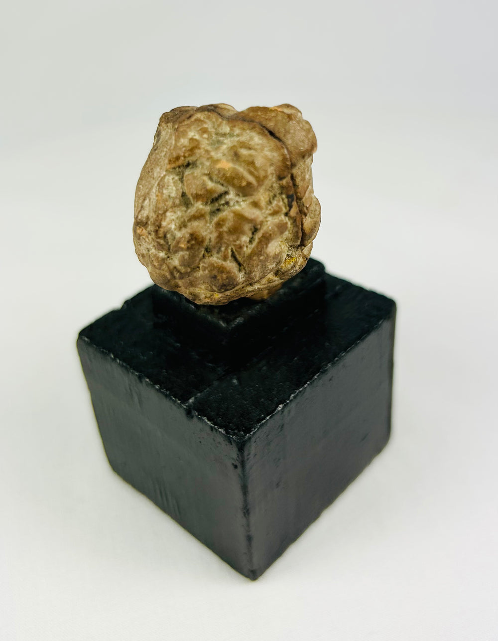 Greek or Roman terracotta head fragment, 1st millennium BCE–CE, ancient artifact with aged surface