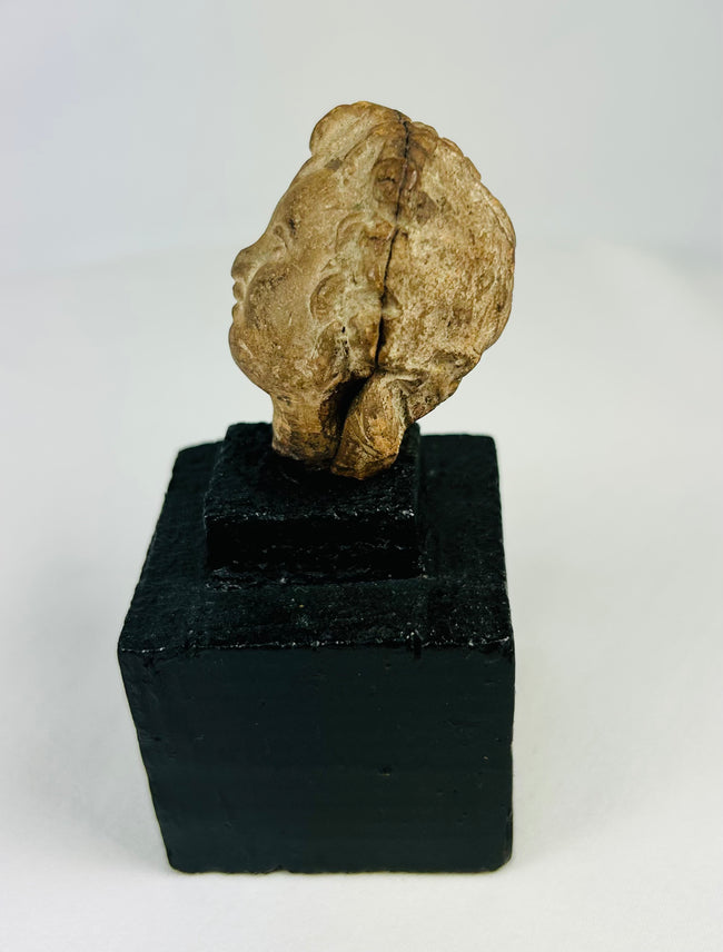 Antique terracotta head fragment, classical period, patinated surface, 1st millennium BCE–CE