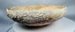 Authentic Byzantine pottery bowl displaying marine encrustations and archaeological mineral deposits.